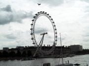 Lontoon silmä - maailmanpyörä