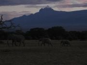 Kilimanzaro iltahämärässä