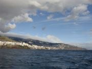 Funchal mereltä