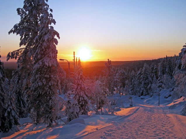 Iso-Syötteen latuverkosto on 120 kilometriä pitkä, ja se kulkee Syötteen kansallispuiston huikeissa maisemissa. Kuva: © Afflamen | Dreamstime.com