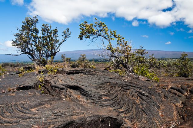 Hawaii Volcanoes Natural Park, Big Island, Havaiji