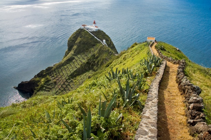 Azoreilla kunto kasvaa patikoidessa. Kuva: © Anibal Trejo | Dreamstime.com