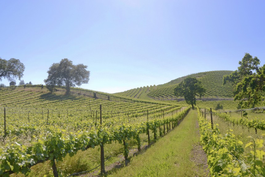 Healdsburg Kaliforniassa on hyvä vaihtoehto (tai lisä) Napa Valleyn viinitilakierrokselle.
