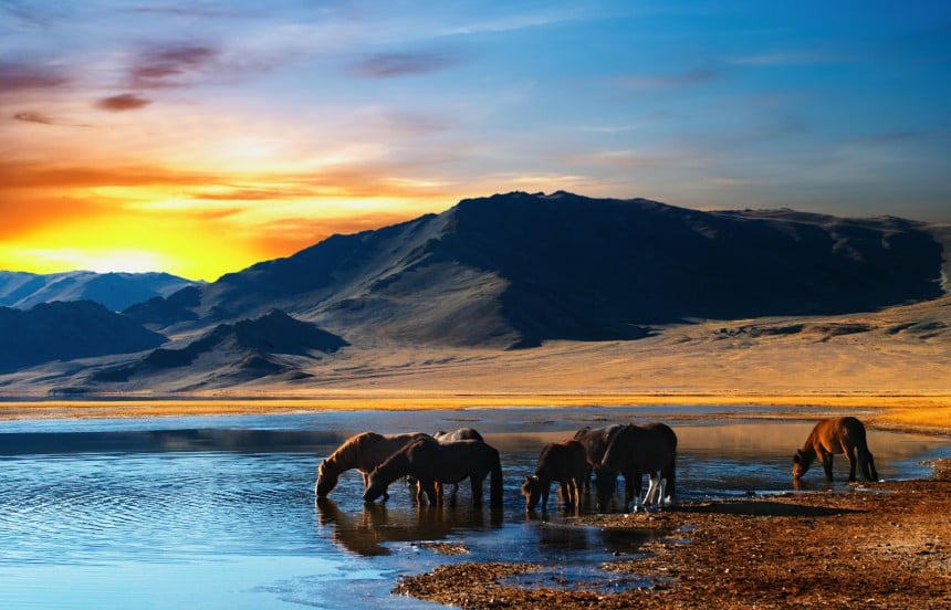 Luontoretket ovat Mongoliassa suosittuja ja ehdottomasti kokemisen arvoisia. Kuva: © Dmitry Pichugin | Dreamstime.com