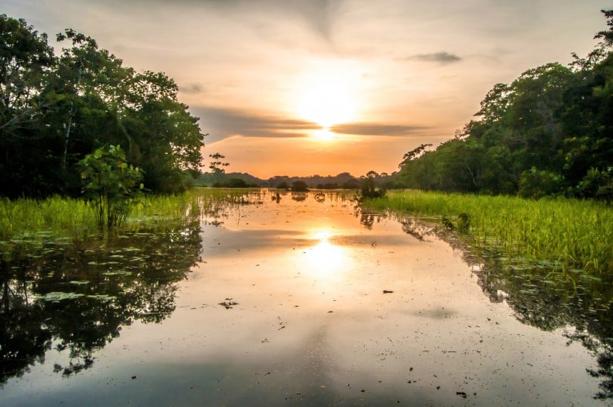 Perun Amazon-alueen luonto on kasvillisuudeltaan ja eläimistöltään erittäin monipuolinen.
