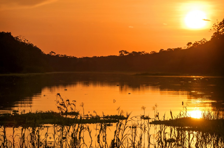 Peruun perustettava luonnonpuisto suojelee tuhansia neliökilometrejä Amazonin sademetsää - Maapallo kiittää!