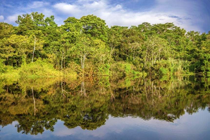 Peruun perustettava luonnonpuisto suojelee tuhansia neliökilometrejä Amazonin sademetsää - Maapallo kiittää!