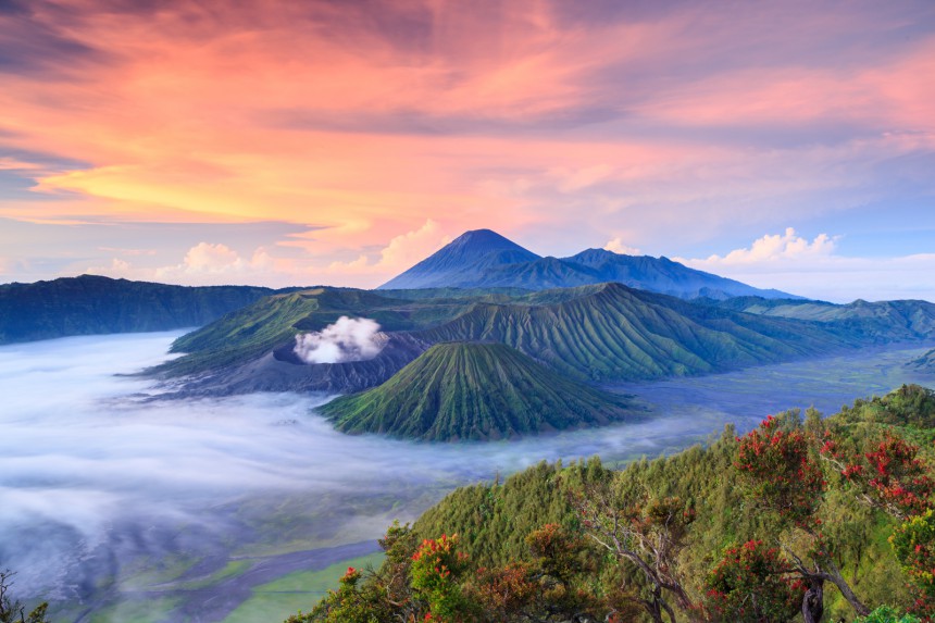 Javan saari on kauniin vehreä. Kuva: Noppakun | Dreamstime.com