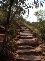 Alice Springs