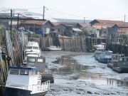 laskuveden aikaan,kuin tsunamin jälkeen?