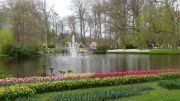 Keukenhof