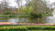 Keukenhof