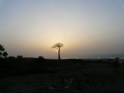 Auringonlasku apinanleipäpuun kera