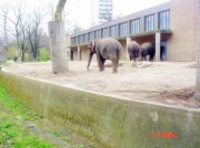 Eläintarhassa Berliinissä