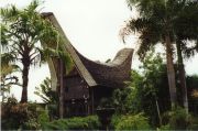 Tongkonan -tyylinen talo lintupuistossa