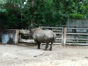 Berlin Zoo 