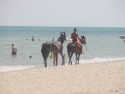 hevoset rannalla