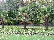 St Stephens Green puisto