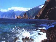 Merinäköala Madeiralla
