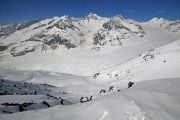 Grosser Aletschgletscher  -  Euroopan pisin jäätikkövirta Eggishornin huipulta nähtynä. 