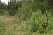Keban jälkeen löytyi vanha Suomen raja