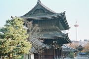 kyoto,sanjusangendo&kyoto tower