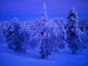 Talvisia maisemia Kangosjärven Kangosselältä