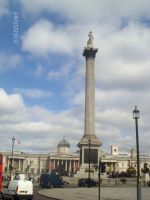 Nelsonin pylväs Trafalgar Squarella