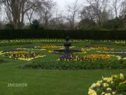 Regent's Park, Kuningatar Maryn puutarhaa