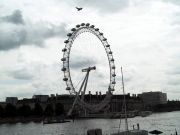 Lontoon silmä - maailmanpyörä