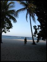 Tiwi Beach III