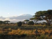 Kilimanzaro aamunkajossa