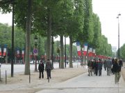 Avenue des Champs-Elysées