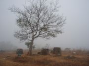 Plain of jars aamuhämärissä