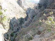 Solan sielu
