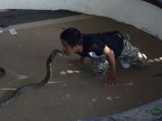 käärme show-rawai-naiharn