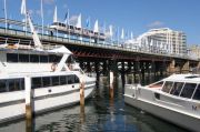 Pyrmont bridge, Darling harbour