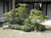 Wangshi Yuan - Verkkomestarin puutarha