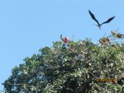 Los Haitises 1 National Park