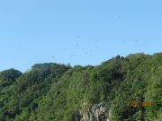 Los Haitises 2 National Park