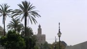 torni ja palmut (entinen otsikko: "joen rannassa", koska tämä on joen rannassa)