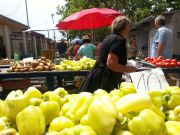 Green market