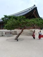 Gyeongbokgung Palace