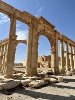 Palmyra