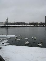 Tallinnaa talvella
