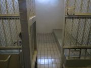 Valtio+ näyttely Turun Lääninvankila monet sellit alkuperäiskunnossa