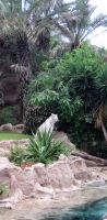 Loro Parque, Puerto de la Cruz