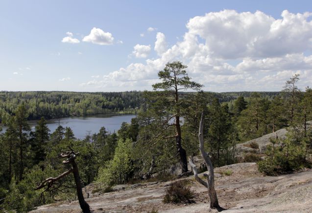 Maahisenkierros on Nuuksion esteetön reitti. Kuva: Metsähallitus / Jukka-Pekka Ronkainen