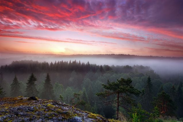 Nuuksiossa on aivan mielettömät maisemat!