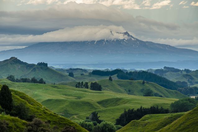 Tongariron kansallispuisto ja taustalla Mount Ruapehu.